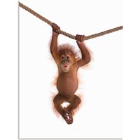 Artland Wandbild "Baby Orang Utan hängt an Seil II", Wildtiere, (1 St.) von Artland