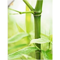 Artland Wandfolie "Bambus Zweig", Gräser, (1 St.) von Artland