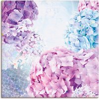 Artland Wandbild "Blau und Pink Hortensie", Blumen, (1 St.) von Artland