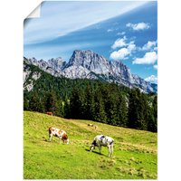 Artland Poster "Blick auf die Litzlalm mit Kühen", Berge & Alpenbilder, (1 St.) von Artland