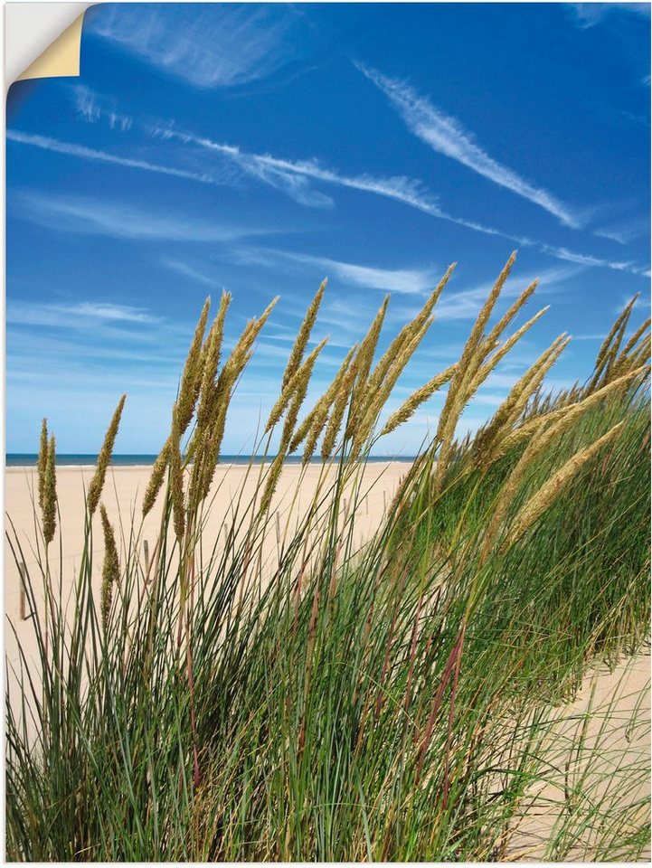 Artland Wandbild Blühendes Strandgras, Strand (1 St), als Leinwandbild, Wandaufkleber in verschied. Größen von Artland