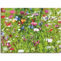 Artland Wandbild "Blumenwiese I", Blumenwiese, (1 St.) von Artland