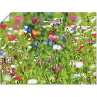 Artland Wandbild "Blumenwiese I", Blumenwiese, (1 St.) von Artland