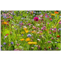 Artland Wandbild "Bunte Blumenwiese", Blumenwiese, (1 St.) von Artland