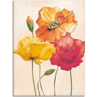 Artland Wandbild "Bunte Mohnblumen I", Blumenbilder, (1 St.) von Artland