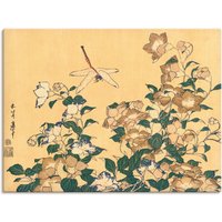 Artland Wandbild "Chinesische Glockenblume und Libelle", Blumen, (1 St.) von Artland