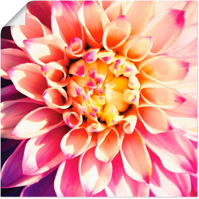 Artland Wandbild Dahlie, Blumen (1 St), als Leinwandbild, Poster in verschied. Größen von Artland