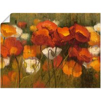 Artland Wandbild "Das starke Rot II", Blumenwiese, (1 St.) von Artland