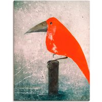 Artland Wandbild "Der Rote Vogel", Vögel, (1 St.) von Artland