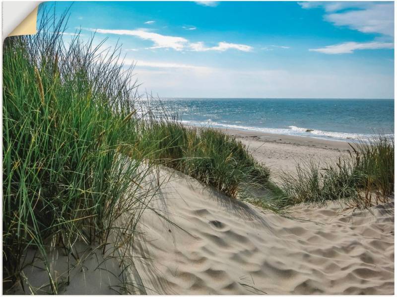 Artland Wandbild Dünenlandschaft im Sommer an der Nordsee, Strand (1 St), als Alubild, Outdoorbild, Leinwandbild, Poster, Wandaufkleber von Artland