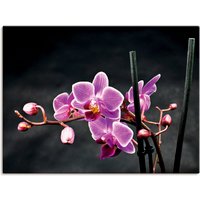 Artland Wandbild "Eine Orchidee vor schwarzem Hintergrund", Blumen, (1 St.) von Artland