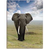 Artland Wandbild "Elefant", Wildtiere, (1 St.), als Alubild, Outdoorbild, Leinwandbild, Poster in verschied. Größen von Artland