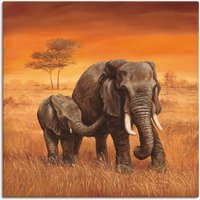 Artland Wandbild "Elefanten II", Wildtiere, (1 St.), als Alubild, Outdoorbild, Leinwandbild, Poster, Wandaufkleber von Artland
