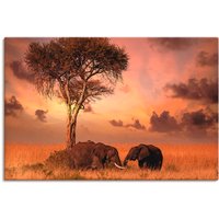 Artland Wandbild "Elefanten zum Abendessen", Wildtiere, (1 St.) von Artland