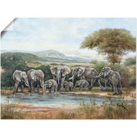 Artland Wandbild "Elefantenfamilie", Elefanten Bilder, (1 St.) von Artland