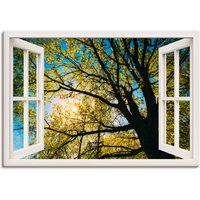 Artland Wandbild "Fensterblick Frühlingssonne Baumkrone", Bäume, (1 St.) von Artland