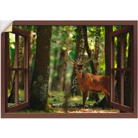 Artland Wandbild "Fensterblick - Hirsch 4 - Wald", Fensterblick, (1 St.) von Artland