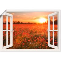 Artland Wandbild "Fensterblick Mohnblumenfeld", Blumen, (1 St.) von Artland