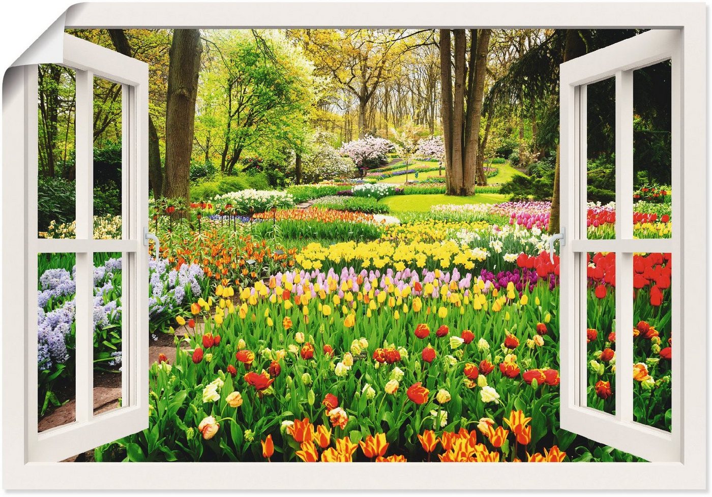 Artland Wandbild Fensterblick Tulpen Garten Frühling, Fensterblick (1 St), als Alubild, Outdoorbild, Leinwandbild, Poster, Wandaufkleber von Artland