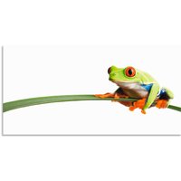 Artland Wandbild "Frosch auf einem Blatt", Wassertiere, (1 St.) von Artland