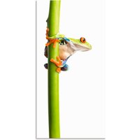 Artland Wandbild "Frosch umfasst einen Pflanzenstengel", Wassertiere, (1 St.) von Artland