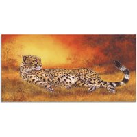 Artland Wandbild "Gepard", Geparden Bilder, (1 St.) von Artland