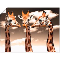 Artland Poster "Giraffe sepia", Wildtiere, (1 St.) von Artland