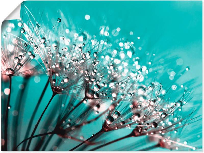 Artland Wandbild Glitzernde Pusteblume I, Blumen (1 St), als Leinwandbild, Poster in verschied. Größen von Artland