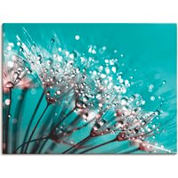 Artland Wandbild "Glitzernde Pusteblume I", Blumen, (1 St.) von Artland