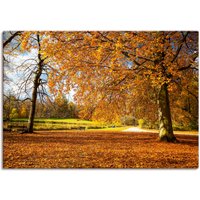 Artland Wandbild "Herbst bei Schlosses Nymphenburg", Wiesen & Bäume, (1 St.) von Artland