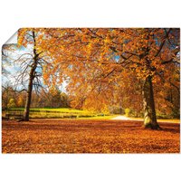 Artland Wandbild "Herbst bei Schlosses Nymphenburg", Wiesen & Bäume, (1 St.) von Artland