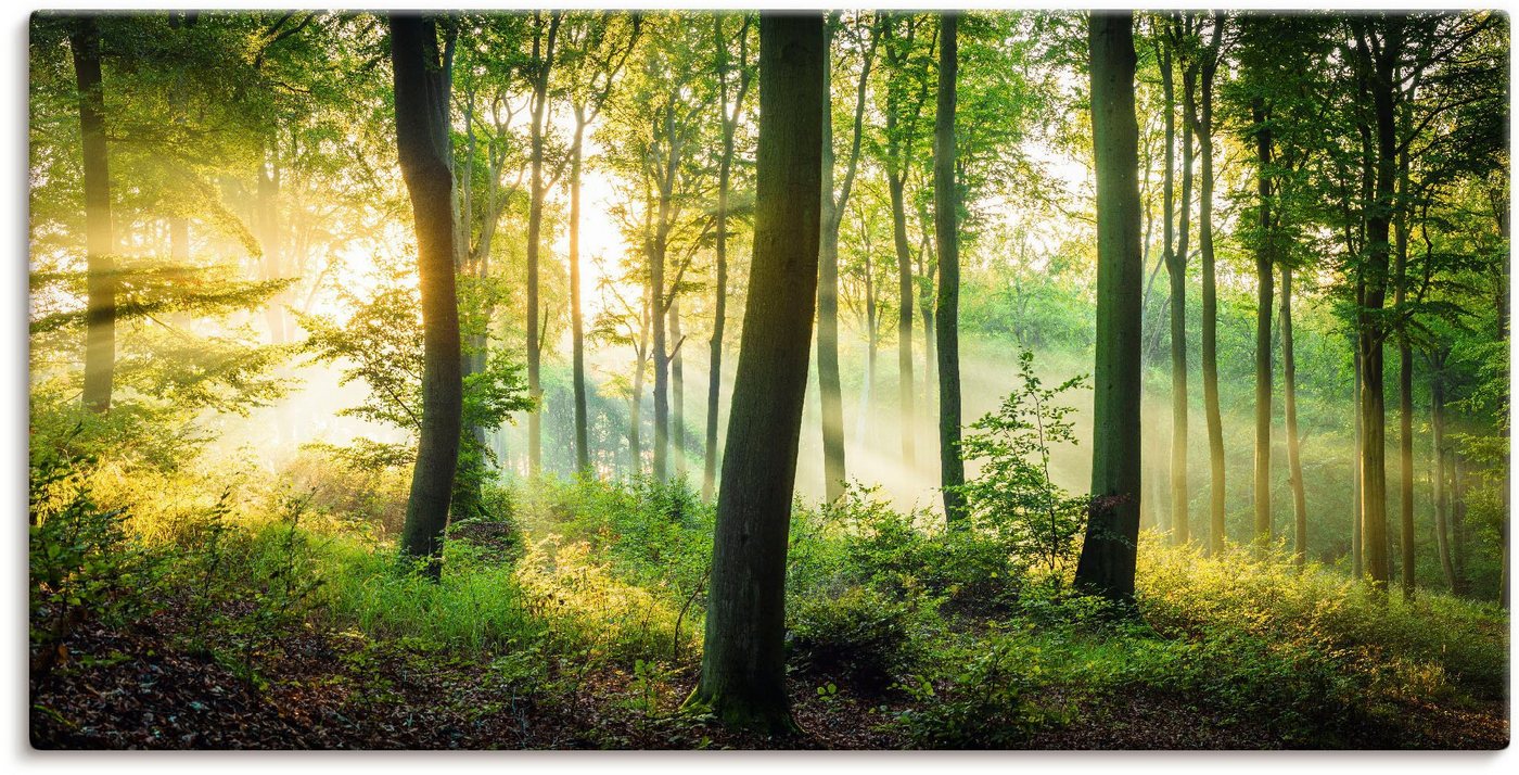 Artland Wandbild Herbst im Wald II, Waldbilder (1 St), als Alubild, Outdoorbild, Leinwandbild, Poster, Wandaufkleber von Artland