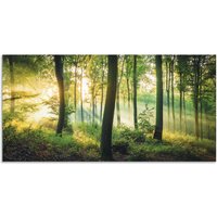 Artland Wandbild "Herbst im Wald II" Waldbilder 1 Stk. tlg. als Alubild, Outdoorbild, Leinwandbild, Poster, Wandaufkleber Artland Wandbild "Herbst im Wald II" Waldbilder 1 Stk. tlg. als Alubild, Outdoorbild, Leinwandbild, Poster, Wandaufkleber von Artland