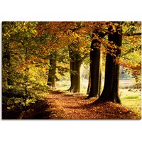 Artland Wandbild "Herbstfarben", Bäume, (1 St.) von Artland