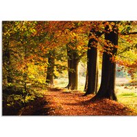 Artland Wandbild "Herbstfarben", Bäume, (1 St.) von Artland