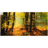 Artland Wandbild "Herbstlicht im Wald", Wald, (1 St.) von Artland