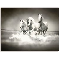 Artland Leinwandbild "Herde von weißen Pferden", Haustiere, (1 St.) von Artland