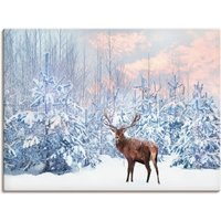Artland Wandbild "Hirsch im Winterwald" Hirschbilder 1 Stk. tlg. als Leinwandbild, Poster in verschied. Größen Artland Wandbild "Hirsch im Winterwald" Hirschbilder 1 Stk. tlg. als Leinwandbild, Poster in verschied. Größen von Artland