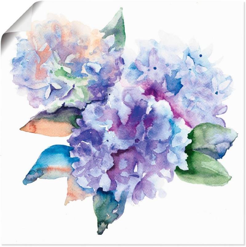 Artland Wandbild Hortensien, Blumen (1 St), als Leinwandbild, Poster in verschied. Größen von Artland