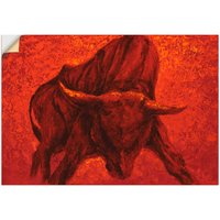 Artland Wandbild "Katalanischer Stier", Wildtiere, (1 St.) von Artland