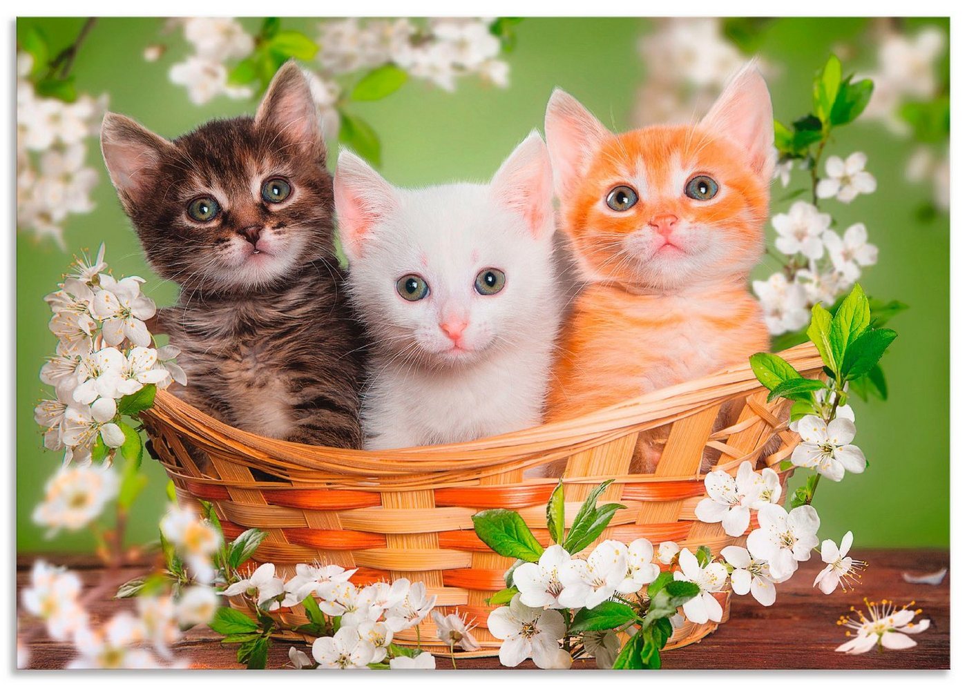 Artland Wandbild Katzen sitzen in einem Korb, Haustiere (1 St), als Leinwandbild, Poster, Wandaufkleber in verschied. Größen von Artland