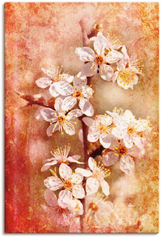 Artland Wandbild Kirschblüten, Blumen (1 St), als Leinwandbild, Poster in verschied. Größen von Artland