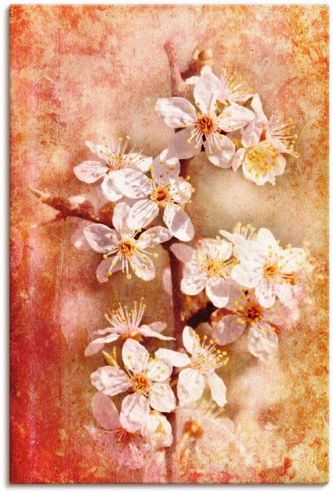 Artland Wandbild Kirschblüten, Blumen (1 St), als Leinwandbild, Poster in verschied. Größen von Artland