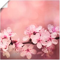 Artland Wandbild "Kirschblüten", Blumen, (1 St.), als Alubild, Outdoorbild, Leinwandbild, Poster in verschied. Größen von Artland