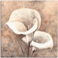 Artland Wandbild "Klassische Callas", Blumen, (1 St.), als Leinwandbild, Wandaufkleber in verschied. Größen von Artland