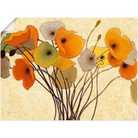 Artland Wandbild "Kürbismohn I", Blumen, (1 St.) von Artland