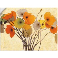 Artland Wandbild "Kürbismohn I", Blumen, (1 St.) von Artland