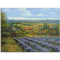 Artland Wandbild "Lavendelfelder in der Provence", Europa, (1 St.), als Leinwandbild, Poster, Wandaufkleber in verschied. Größen von Artland