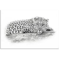 Artland Wandbild "Leopard High Key Optik", Wildtiere, (1 St.) von Artland