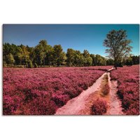 Artland Leinwandbild "Lüneburger Heide Romantik", Blumenwiese, (1 St.) von Artland